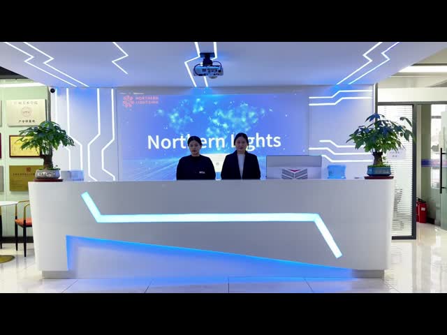 China Northern Lights (Guangzhou) Digital Technology Co.,Ltd Perfil de compañía