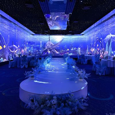 Buen precio Luces del Norte proyector de pantalla holográfica cena inmersiva para la boda en línea