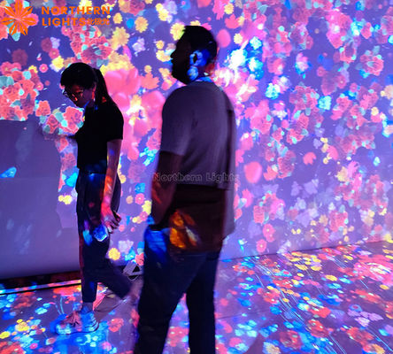 Buen precio Sistema de pantalla de proyección Holográfico inmersivo Dinámico Arte digital en línea