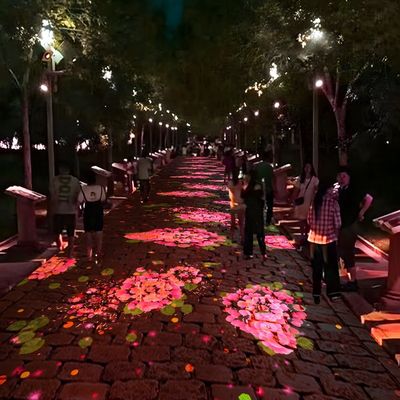 Buen precio Proyector al aire libre Iluminación de suelo interactiva Proyección de suelo interactiva en línea