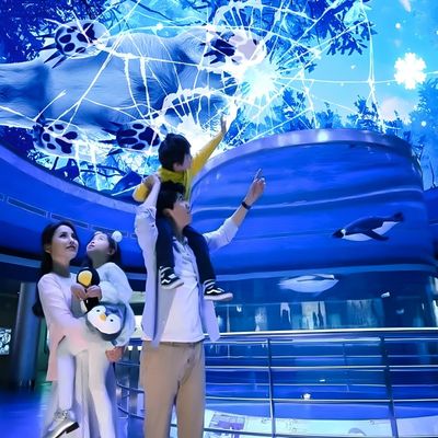 Buen precio Proyección Holográmica de pantalla de cielo mágico personalizable Proyector interactivo en línea