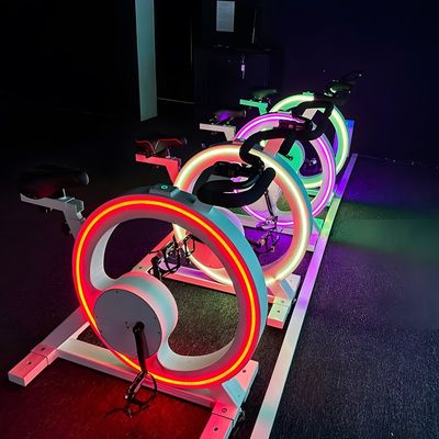 Buen precio Luces del Norte Simulador de bicicletas de carreras Máquina de juego Proyección de carreras en línea