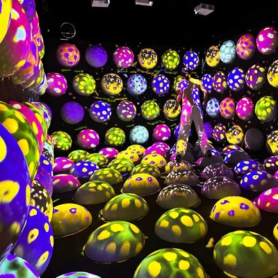 Buen precio Indoor Interactivo Salto Esfera piso Interactivo Juego de Proyección Cool Jump Espacio en línea