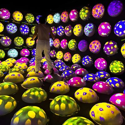 Buen precio Creatividad en interiores Magia Interactivo Juego de Proyección de Bounce Ball en línea