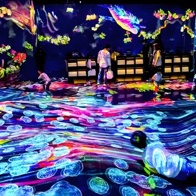 Buen precio 3D Holográfico Proyección de Pared Interactivo Software Experiencia de Sala Inmersiva en línea