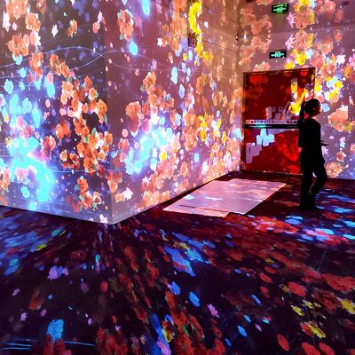 Buen precio Estudio de yoga Proyección de pared Proyección de piso Realidad virtual interactiva Show del museo en línea