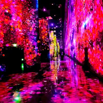 Buen precio Sistema de proyección de pared romántico 360 inmersivo Proyector de exposición de arte inmersivo en línea