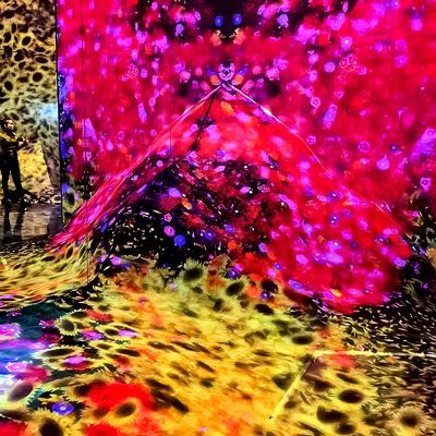 Buen precio Proyección inmersiva 3d para interiores en línea