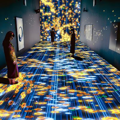 Buen precio Experiencia inmersiva para la capacitación en la enseñanza de proyectores interactivos en interiores en línea