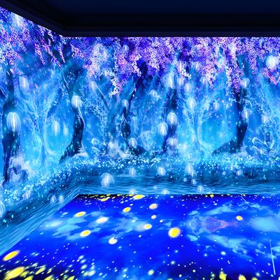 Buen precio Proyector 3D inmersivo experiencia inmersiva proyección de pared de tierra para el museo en línea