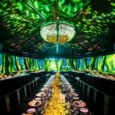 Buen precio Experiencia de comedor inmersiva en 3D Restaurante Proyección interactiva de pared en línea