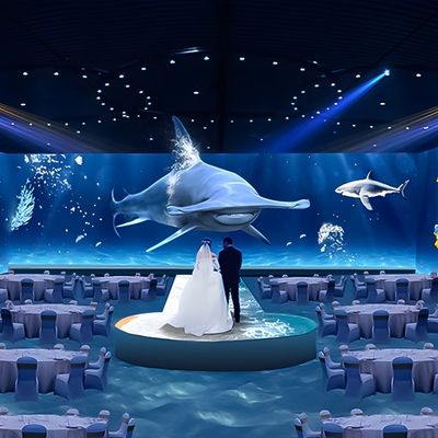 Buen precio Experiencia gastronómica Restaurante Disfrute Proyección inmersiva Mapeo 3D en línea