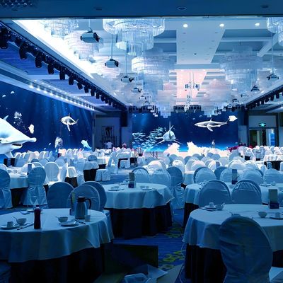 Buen precio Ar Proyector de pantalla holográfica 3D interactiva Restaurante creativo en línea
