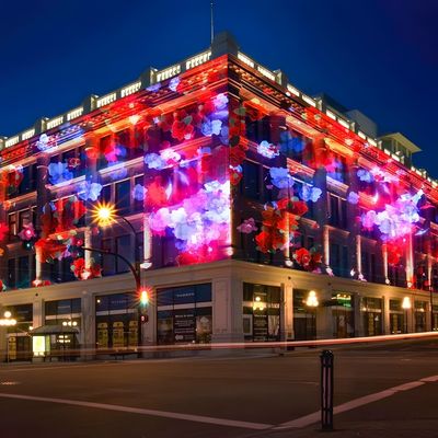 Buen precio Proyector de luces comerciales de exhibición de máquinas de animación en línea