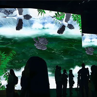 Buen precio Northern Lights Interactivo Pared Niños Exploración espacial Proyección interactiva en línea