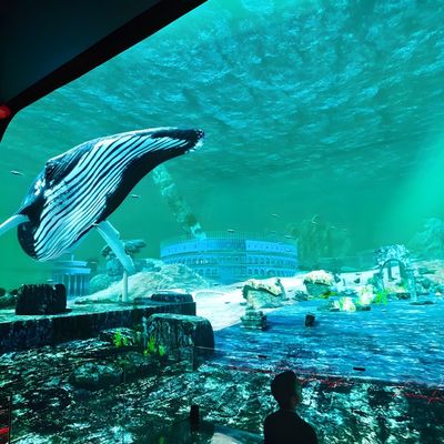 Buen precio 3d HD Imersivo de visualización LED pantalla de visualización de vidrio colgante cine holograma en línea