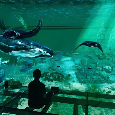Buen precio Factory Custom Indoor Led 5 Fold Screen Imersivo 3D Teatro Holográfico Visión en línea