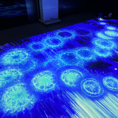 Buen precio Portable Mobile Interactive Floor Projection System with 1280*800 Resolution and 110V-250V Voltage en línea